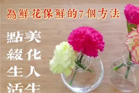 鲜花保鲜法的7个小秘招，只需加一样东西, 就令鲜花持续更长时间