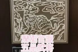 国家高级导游给你讲升官发财五品武官