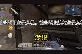 铂金以下全是人机，铂金以上队友全是人机-涉犯