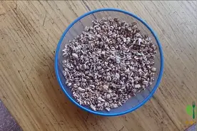 比爆米花还好吃的爆麦花新鲜出炉，口感酥脆真的很好吃！