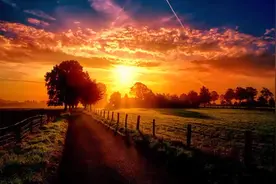 【日本音樂】魅惑のムード歌謡ベスト