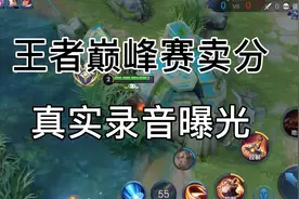 王者巅峰赛演员全局录音曝光！看完你就懂了！