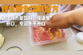鲤鱼鲫鱼饵料配方，这才叫万能饵料，强逼鱼开口，专治鱼不开口视频封面
