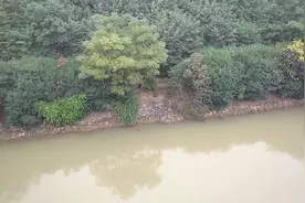 洛阳涧西七里河村拆迁最新进展视频封面