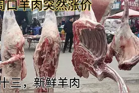 2月24号，羊肉为何突然涨价？看河南本地羊肉真实价格视频封面