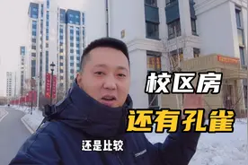 哈尔滨最便宜的校区房，每平米竟然才几千元，看完你还会去鹤岗吗