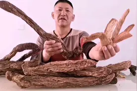 锁阳怎么吃最好，