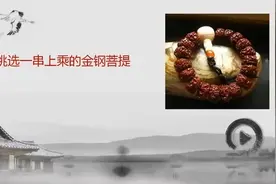 怎么看金刚菩提瓣数，几瓣的金刚菩提最好每瓣的含义是什么视频封面