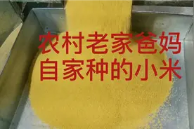 小米的形成过程