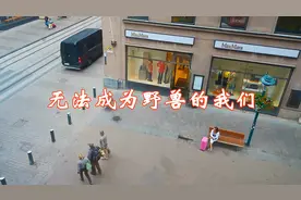 好歌推荐，一首《无法成为野兽的我们》，歌声优美动听