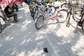 带你逛逛。沈阳铁西最大的二手自行车交易市场。人真多呀！视频封面