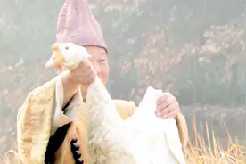 胖和尚对付妖精有高招，大白鹅专治黄鼠狼，这回看你往哪跑视频封面