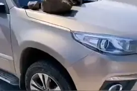 内蒙古赤峰车主乱停车，被人把石头扔在了车上