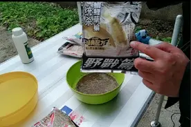 螺鲤、九一八这样搭配开拉饵，冬季野钓鲤鱼屡试不爽。视频封面