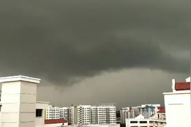 新加坡驾照好考吗？今天报名啦！