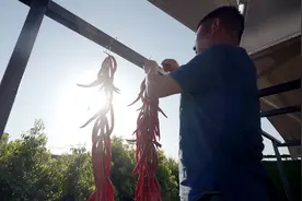 屋顶菜园收尾，挂辣椒，淘顺柜，弄土种花，乌龟入水好开心 34集