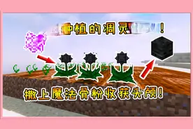 我的世界模组：可种植的凋灵种子！撒上魔法骨粉，收获凋灵头颅！