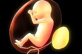 胎宝肚子饿时，孕妈可能会有什么“感觉”？这3个“信号”别忽略