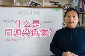 什么是同源染色体？你是怎么定义的？我们一起探讨吧！