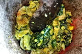 剁个海参果这俩非要帮我😂！