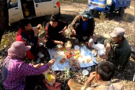 辽宁农村开始秋收啦，农忙季节吃饭都在地里，一口酒一口肉真实惠视频封面