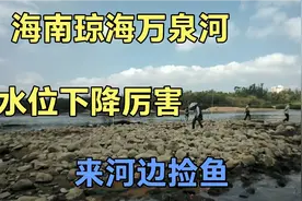 在海南省琼海市万泉河边玩，捡到一条鱼，不知道什么鱼