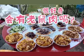 颠兰家今天过节，做了十几个菜，里面会不会加有老鼠肉呢？