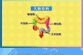大肠的结构和功能是怎样的？为什么肠癌的发病率越来越高！听黄…