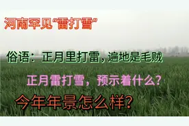 河南正月出现罕见“雷打雪 ”电闪雷鸣预示着什么？今年年景如何