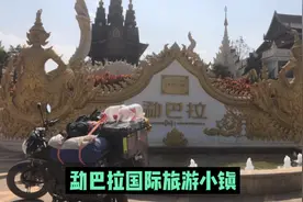 西双版纳勐巴拉小镇，小伙露营被蛇惊醒，这个季节出现蛇太吓人了视频封面