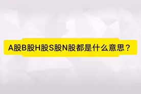 A股B股H股s股N股都是什么股票市场？视频封面