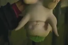 胡巴刚出生是个大萝卜，娘亲看懵了