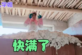 甘肃酒泉农民人工装棉花有多累多费劲？农民真的不容易大家来看！视频封面