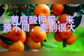 疯传的黄腐酸钾肥，原料来源不同，效果差别很大。视频封面