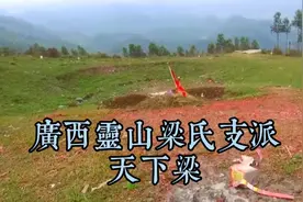 广西钦州这个姓氏后代出了解放后灵山第一任县长，人才辈出视频封面