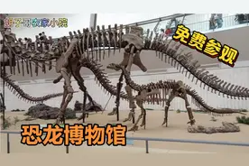中国天津著名自然博物馆之一 ，最大恐龙化石你见过吗 ？不要门票视频封面