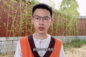 出家人会偷偷吃肉吗？在寺院生活了两三个月，让我告诉你视频封面