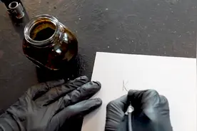 墨水原来是这样制造的？只用核桃就能做到？一起来见识下