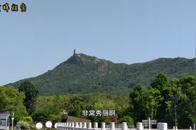 长江边上发现一处免费风景区，环境真不错，还免费提供水电！视频封面