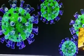 病毒的的结构及新冠状病毒解读（二）