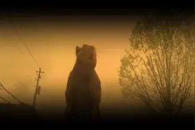 老鼠和蟑螂居然在舌吻！！！！