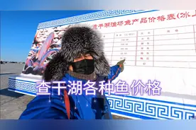 查干湖冬捕现场野生鱼价格表，看看各种鱼的价格，到底贵不贵视频封面