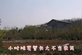 农夫山泉有点田，小时候发誓不当农民，今天来这里却想去种地了！视频封面