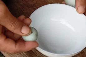 鸭生了一个很小的蛋，敲开看里面是什么样的，为什么会下这种蛋视频封面