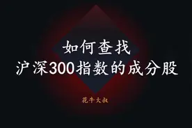 沪深300指数是什么意思 有哪些成份股视频封面