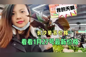 湖南长沙紫苏价格太吓人？看1月27号多少钱一斤，结果大吃一惊视频封面