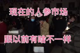到冬天了，宏弟带你们看东北最大的野山参交易市场是什么样子的！