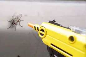 苍蝇太烦怎么办？男子发明打苍蝇神器，一枪打死一只！