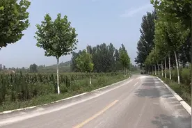 山东临沂临港区发展迅猛，临港区有条旅游路，两侧绿化比城市都好视频封面