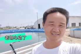 八千元一个的循环水养鱼池，老板大手笔用来养草鱼苗，能赚到钱吗视频封面